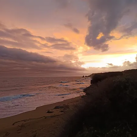 Neuf Et Cosy 2 Personnes Center Port Cap D'agde